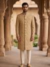 Royal Gold Embroidered Sherwani